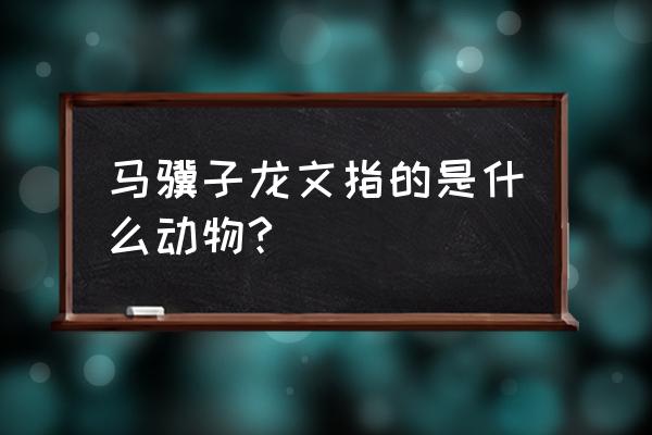 骥子龙文是什么生肖 马骥子龙文指的是什么动物?