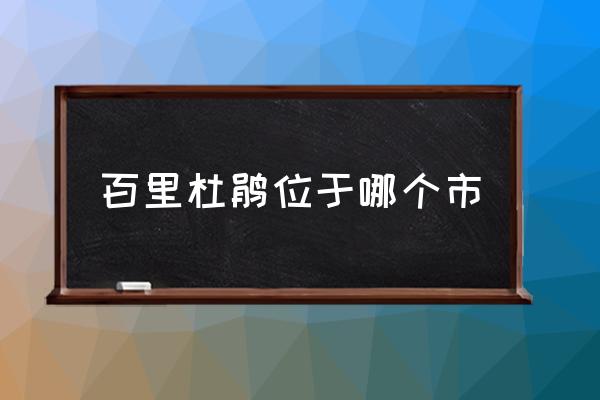 贵州百里杜鹃在贵州哪里 百里杜鹃位于哪个市