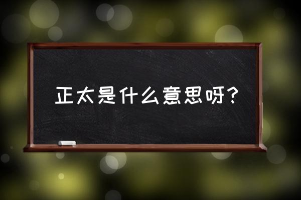 正太是什么意思呀 正太是什么意思呀？