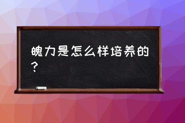 魄力是如何养成的 魄力是怎么样培养的？