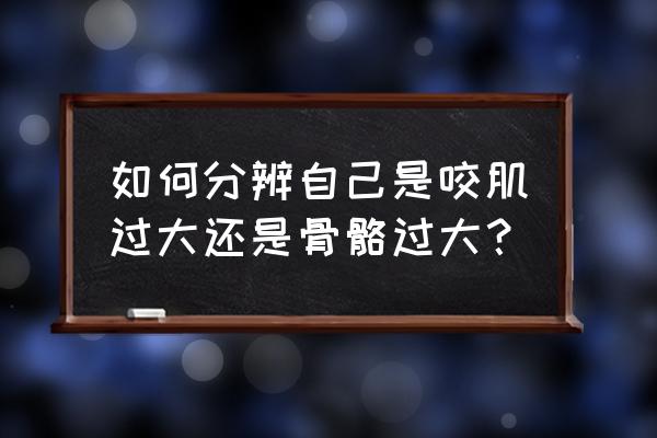 怎么判断咬肌大不大 如何分辨自己是咬肌过大还是骨骼过大？