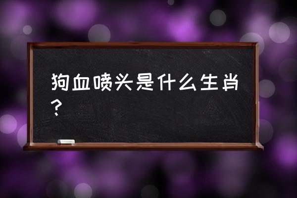 狗血喷头是什么生肖 狗血喷头是什么生肖？