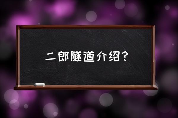 二郎山隧道介绍 二郎隧道介绍？