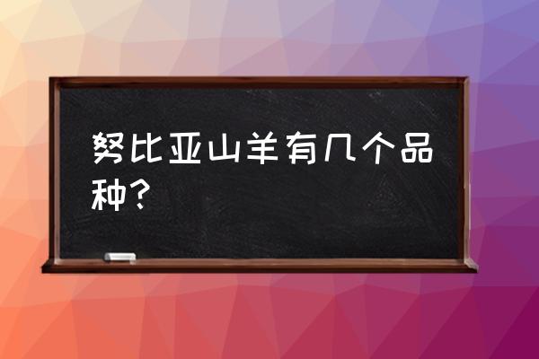 努比亚山羊有几个品种 努比亚山羊有几个品种？