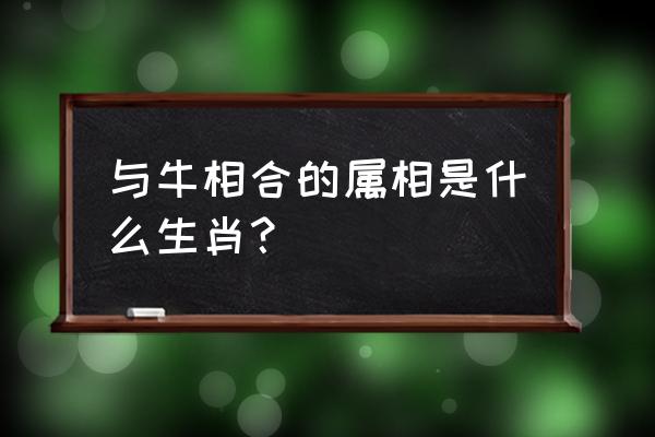 属牛的上等婚配 与牛相合的属相是什么生肖？