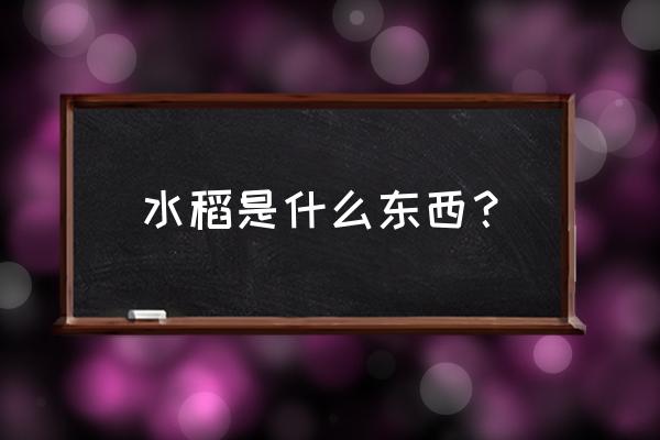 关于水槄的知识 水稻是什么东西？