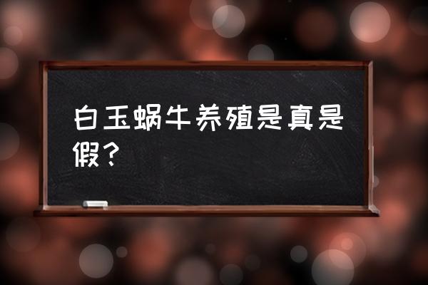 白玉蜗牛养殖是真的吗 白玉蜗牛养殖是真是假？