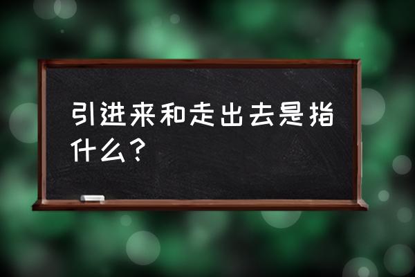 引进来走出去的地位 引进来和走出去是指什么？