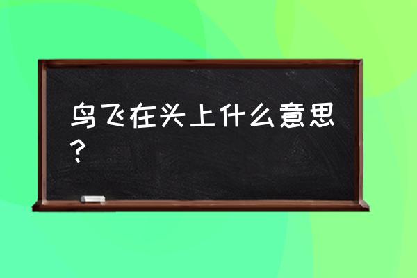 梦见自己赶不上飞机 鸟飞在头上什么意思？