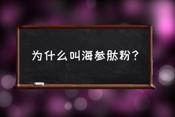 海参肽粉的功效 为什么叫海参肽粉？