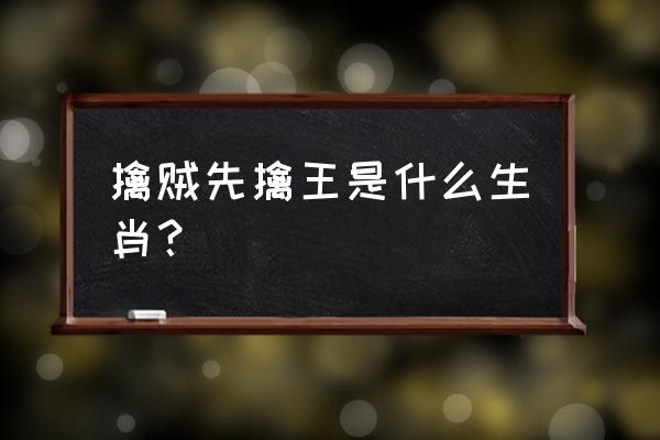 擒贼擒王是什么生肖 擒贼先擒王是什么生肖？