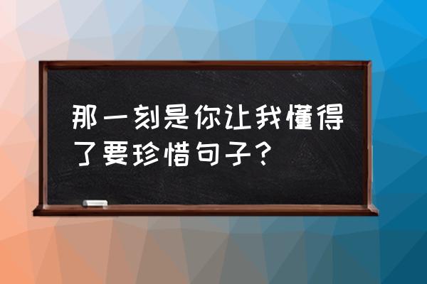 这件事让我懂得了珍惜 那一刻是你让我懂得了要珍惜句子？