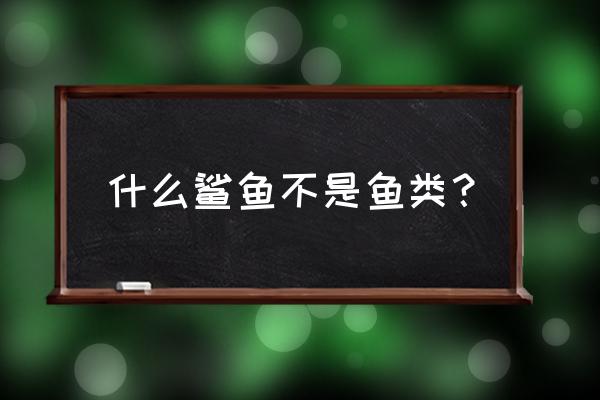 鲨鱼是不是鱼类的一种 什么鲨鱼不是鱼类？