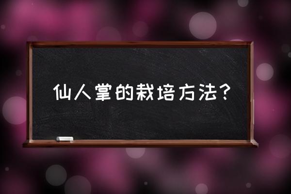 仙人掌怎么栽活的方法 仙人掌的栽培方法？