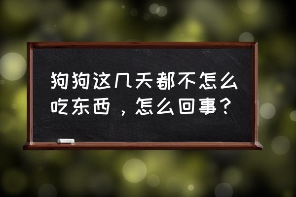 小狗这两天食欲不振 狗狗这几天都不怎么吃东西，怎么回事？