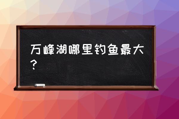 万峰湖钓鱼地点 万峰湖哪里钓鱼最大？