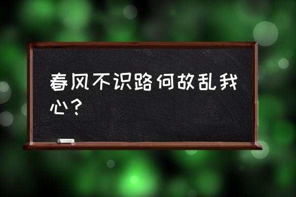 春风不识相 何故惹相思 春风不识路何故乱我心？