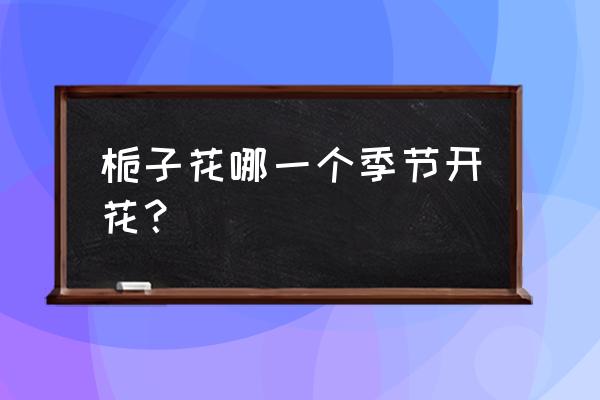 栀子花什么时候开花季节 栀子花哪一个季节开花？