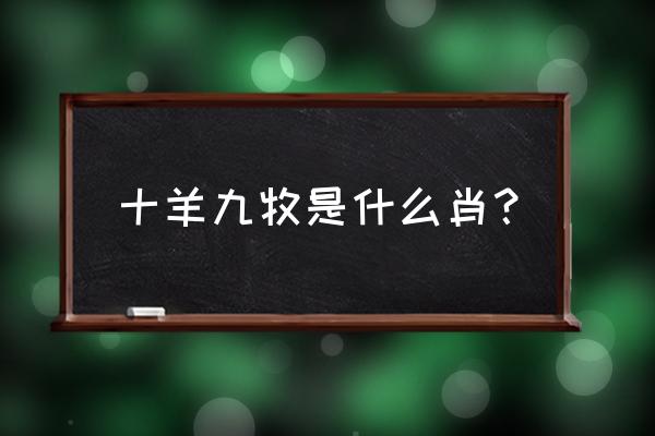 十羊九牧解生肖 十羊九牧是什么肖？