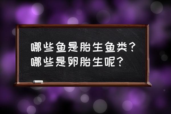 卵胎生鱼都有哪几种 哪些鱼是胎生鱼类？哪些是卵胎生呢？