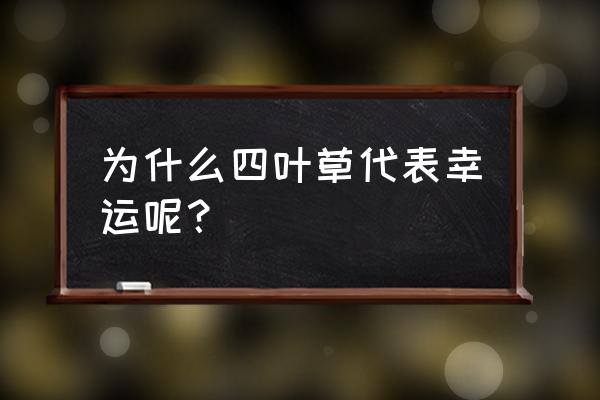 幸运四叶草的花语是什么 为什么四叶草代表幸运呢？