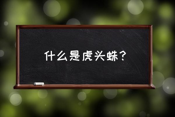 哥斯达黎加老虎尾寿命 什么是虎头蛛？