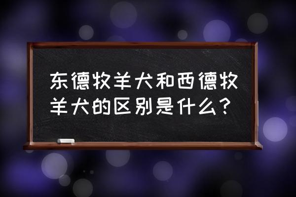 东德和西德牧羊犬 东德牧羊犬和西德牧羊犬的区别是什么？