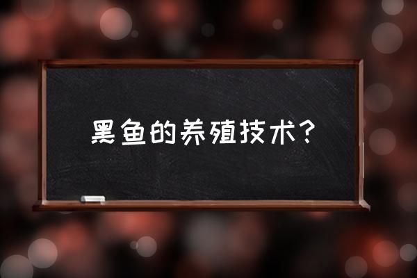 黑鱼的养殖知识和技术 黑鱼的养殖技术？