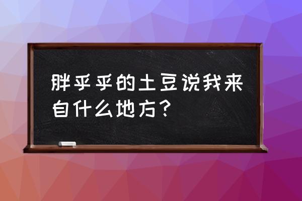 胖乎乎的土豆说我家在 胖乎乎的土豆说我来自什么地方？