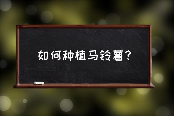 马铃薯怎么种植 如何种植马铃薯？