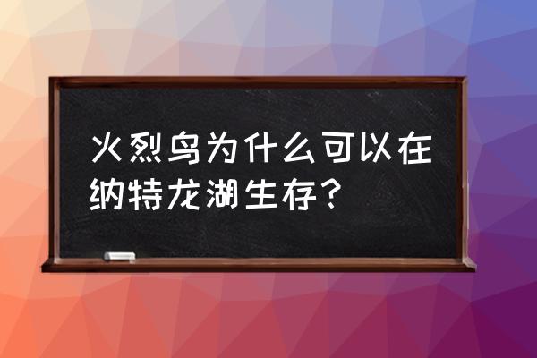 纳特龙湖的主要特征 火烈鸟为什么可以在纳特龙湖生存？