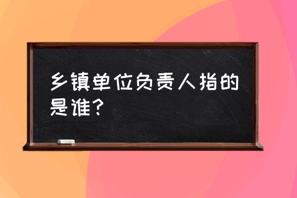 乡镇企业代表 乡镇单位负责人指的是谁？