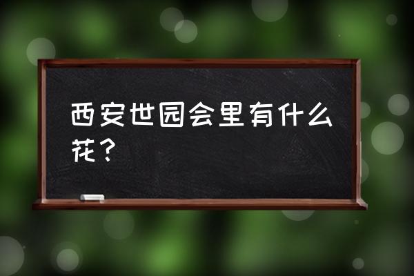 西安世博园内植物 西安世园会里有什么花？