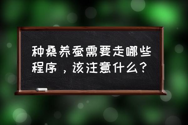 养蚕的方法和步骤 种桑养蚕需要走哪些程序，该注意什么？