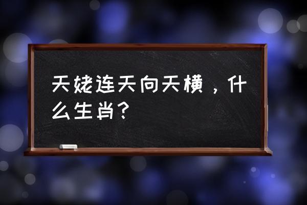 天姥连天向天横是什么生肖 天姥连天向天横，什么生肖？