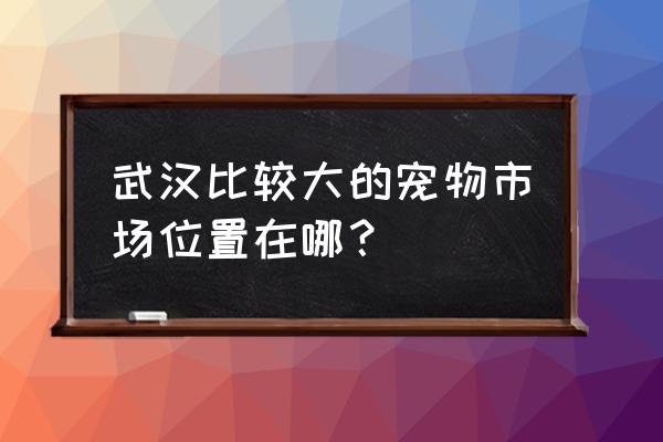 武汉宠物市场位置在哪 武汉比较大的宠物市场位置在哪？