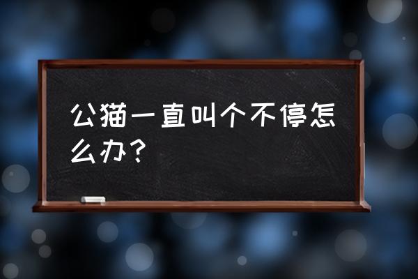 公猫一直叫个不停怎么办 公猫一直叫个不停怎么办？