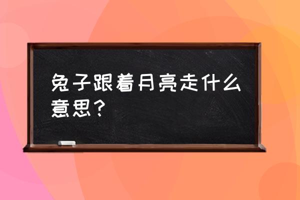 都谁去过月光小兔山庄 兔子跟着月亮走什么意思？