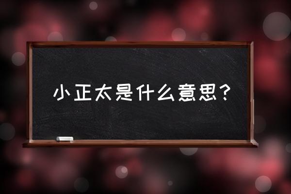 小正太什么意思呢 小正太是什么意思？