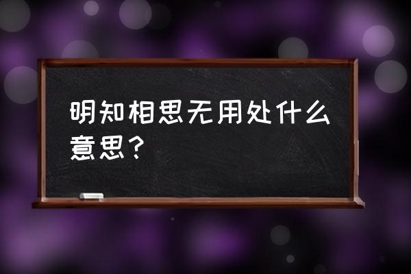 世间相思最无用的意思 明知相思无用处什么意思？