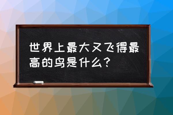 飞的最高的鸟是什么鸟 世界上最大又飞得最高的鸟是什么？