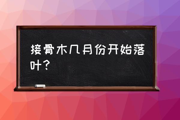 接骨木和西洋接骨木区别 接骨木几月份开始落叶？