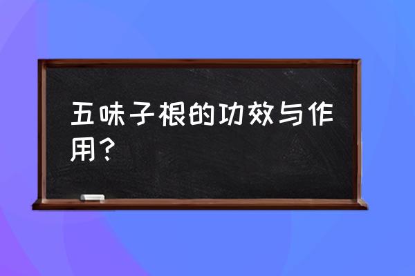 南五味子根功效 最全的 五味子根的功效与作用？