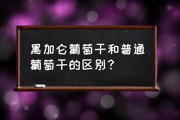 黑加仑葡萄干和普通葡萄干 黑加仑葡萄干和普通葡萄干的区别？