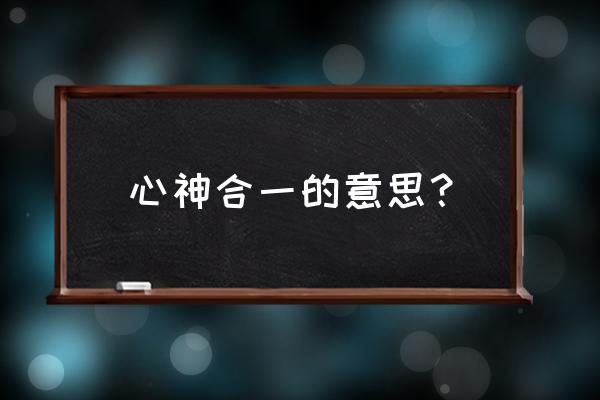 心神合一的状态 心神合一的意思？