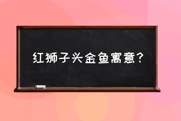 红狮子头金鱼 红狮子头金鱼寓意？