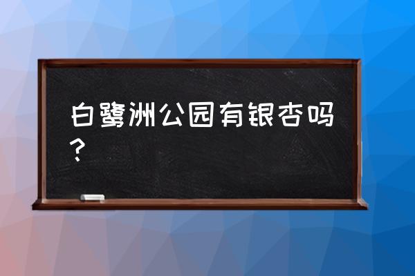 白鹭州公园 白鹭洲公园有银杏吗？