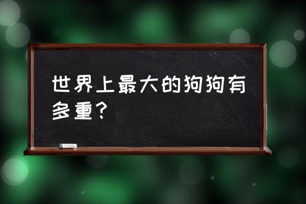 世上最大的狗是谁 世界上最大的狗狗有多重？