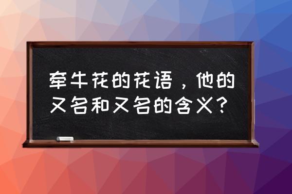 牵牛花的花语和别名叫什么 牵牛花的花语，他的又名和又名的含义？