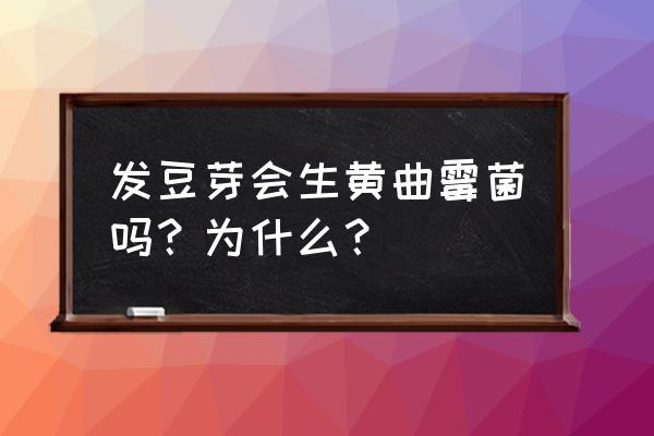 自己发的黄豆芽有毒吗 发豆芽会生黄曲霉菌吗？为什么？